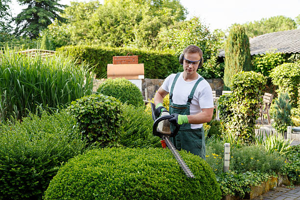 Best Grass Overseeding  in Ypsilanti, MI